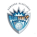 Daejeon Samsung Fire Blue Fangs