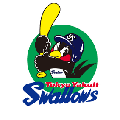 Tokyo Yakult Swallows