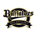 Orix Buffaloes