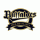 Orix Buffaloes
