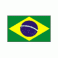 巴西女子國家代表隊