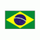 Brazil Women's National Team
