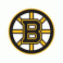 波士頓棕熊