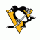 Pittsburgh Penguins