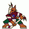 Arizona Coyotes