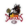 Jiangsu Zhongtian Dragons