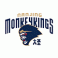 Nanjing Monkey Kings
