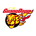 Guangdong Southern Tigers