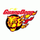 Guangdong Southern Tigers