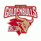 Zhejiang Chouzhou Golden Bulls