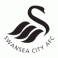 Swansea Ctiy