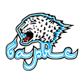 Barys Astana