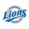 Samsung Lions