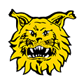 Ilves