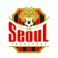 Câu lạc bộ bóng đá Seoul