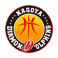 Nagoya Diamond Dolphins