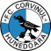 FC Corvinul Hunedoara