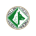 AS Avellino